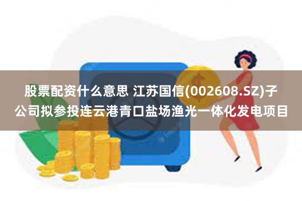 股票配资什么意思 江苏国信(002608.SZ)子公司拟参投连云港青口盐场渔光一体化发电项目