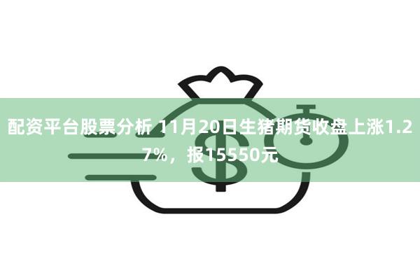 配资平台股票分析 11月20日生猪期货收盘上涨1.27%，报15550元