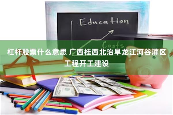 杠杆股票什么意思 广西桂西北治旱龙江河谷灌区工程开工建设