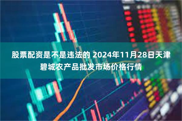 股票配资是不是违法的 2024年11月28日天津碧城农产品批发市场价格行情