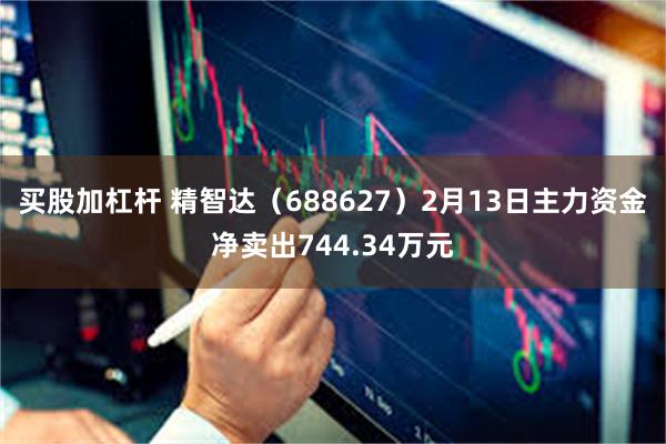 买股加杠杆 精智达（688627）2月13日主力资金净卖出744.34万元