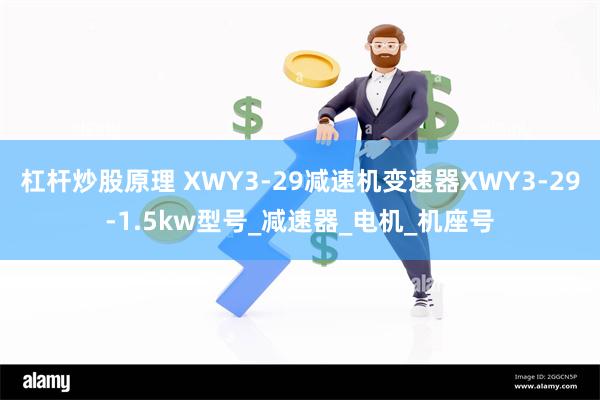 杠杆炒股原理 XWY3-29减速机变速器XWY3-29-1.5kw型号_减速器_电机_机座号
