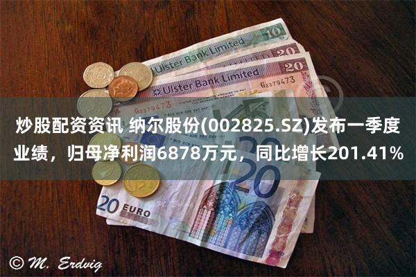 炒股配资资讯 纳尔股份(002825.SZ)发布一季度业绩，归母净利润6878万元，同比增长201.41%