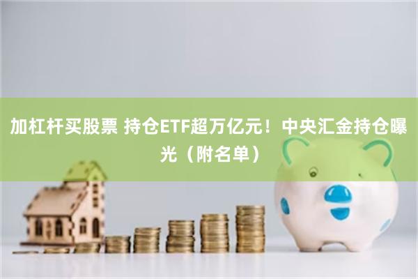 加杠杆买股票 持仓ETF超万亿元！中央汇金持仓曝光（附名单）