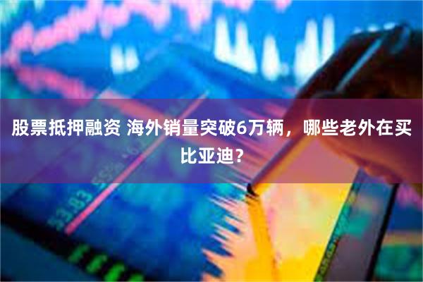 股票抵押融资 海外销量突破6万辆，哪些老外在买比亚迪？