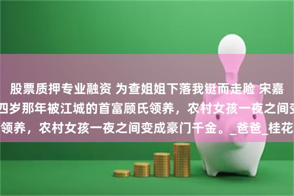 股票质押专业融资 为查姐姐下落我铤而走险 宋嘉乐程秋棠顾怀瑾 姐姐十四岁那年被江城的首富顾氏领养，农村女孩一夜之间变成豪门千金。_爸爸_桂花