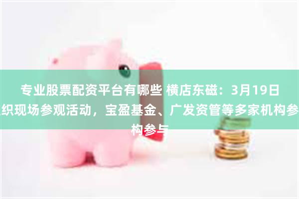 专业股票配资平台有哪些 横店东磁：3月19日组织现场参观活动，宝盈基金、广发资管等多家机构参与
