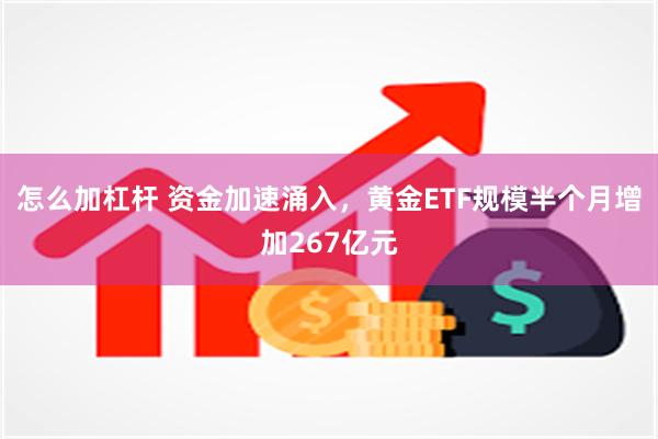 怎么加杠杆 资金加速涌入，黄金ETF规模半个月增加267亿元