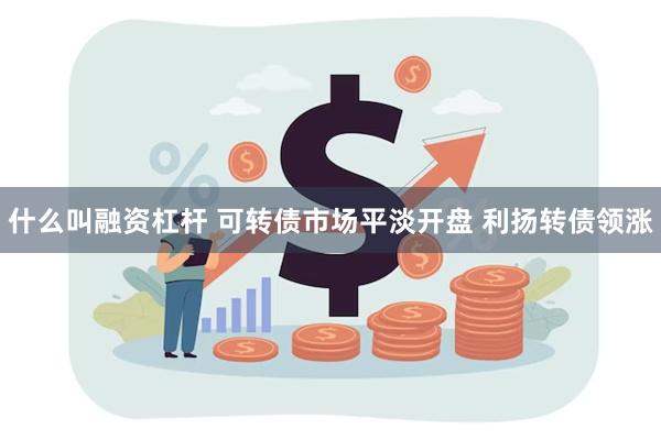 什么叫融资杠杆 可转债市场平淡开盘 利扬转债领涨