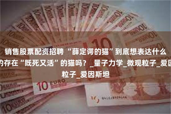 销售股票配资招聘 “薛定谔的猫”到底想表达什么？真的存在“既死又活”的猫吗？_量子力学_微观粒子_爱因斯坦
