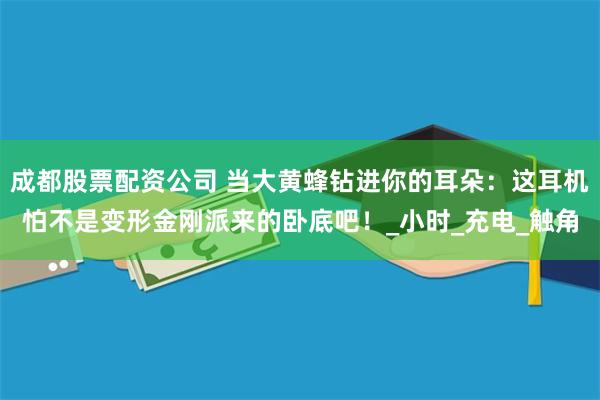 成都股票配资公司 当大黄蜂钻进你的耳朵：这耳机怕不是变形金刚派来的卧底吧！_小时_充电_触角