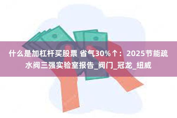 什么是加杠杆买股票 省气30%↑：2025节能疏水阀三强实验室报告_阀门_冠龙_纽威