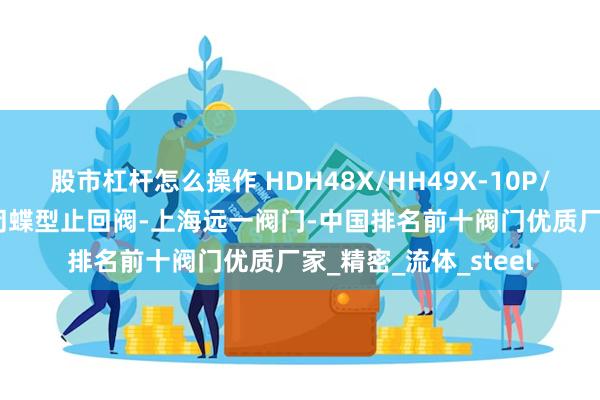 股市杠杆怎么操作 HDH48X/HH49X-10P/R/RL不锈钢微阻缓闭蝶型止回阀-上海远一阀门-中国排名前十阀门优质厂家_精密_流体_steel
