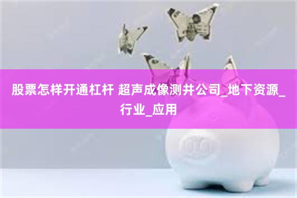 股票怎样开通杠杆 超声成像测井公司_地下资源_行业_应用