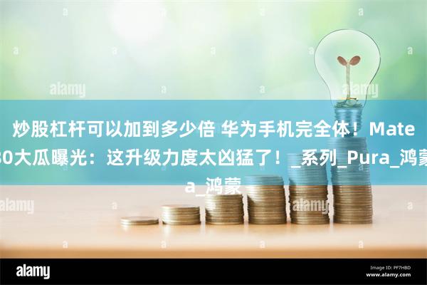 炒股杠杆可以加到多少倍 华为手机完全体！Mate80大瓜曝光：这升级力度太凶猛了！_系列_Pura_鸿蒙