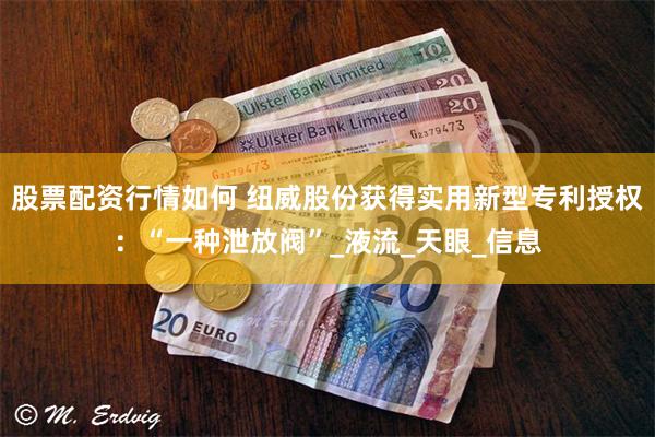 股票配资行情如何 纽威股份获得实用新型专利授权：“一种泄放阀”_液流_天眼_信息