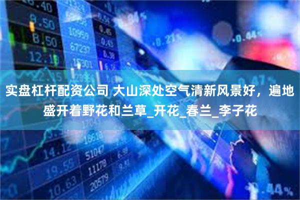 实盘杠杆配资公司 大山深处空气清新风景好，遍地盛开着野花和兰草_开花_春兰_李子花