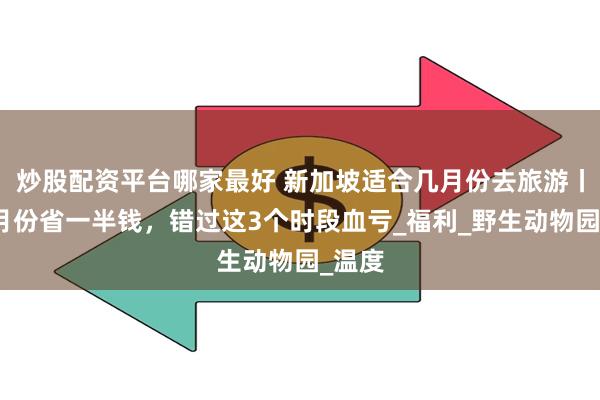 炒股配资平台哪家最好 新加坡适合几月份去旅游丨选对月份省一半钱，错过这3个时段血亏_福利_野生动物园_温度