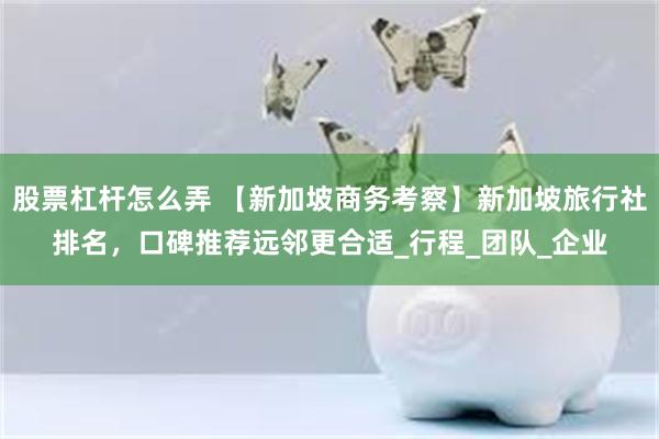 股票杠杆怎么弄 【新加坡商务考察】新加坡旅行社排名，口碑推荐远邻更合适_行程_团队_企业