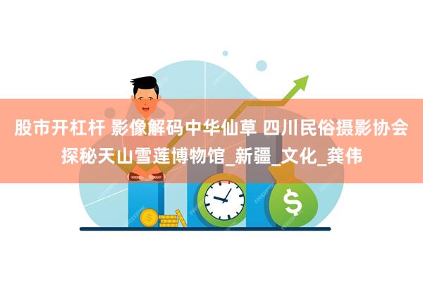 股市开杠杆 影像解码中华仙草 四川民俗摄影协会探秘天山雪莲博物馆_新疆_文化_龚伟