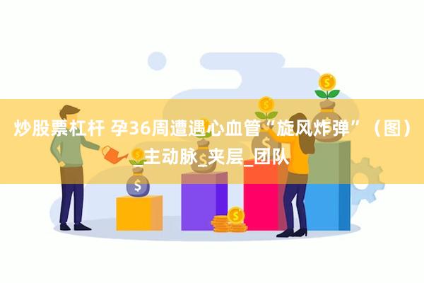 炒股票杠杆 孕36周遭遇心血管“旋风炸弹”（图）_主动脉_夹层_团队