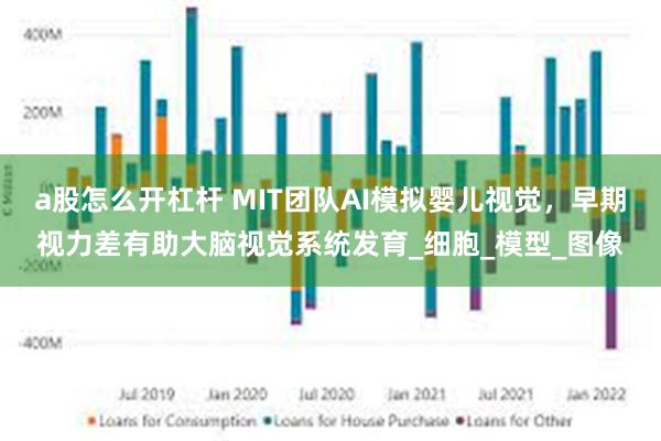a股怎么开杠杆 MIT团队AI模拟婴儿视觉，早期视力差有助大脑视觉系统发育_细胞_模型_图像