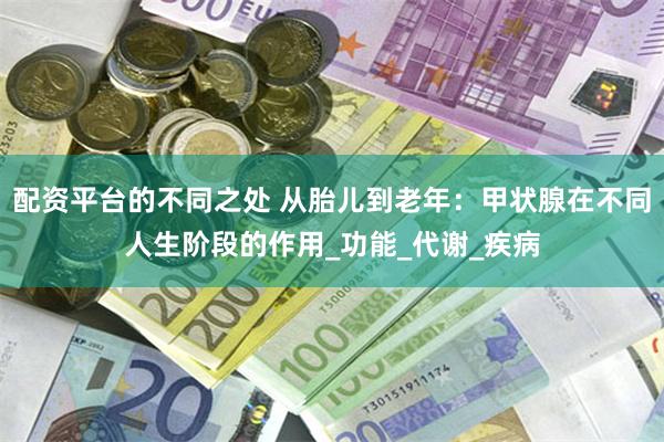 配资平台的不同之处 从胎儿到老年：甲状腺在不同人生阶段的作用_功能_代谢_疾病