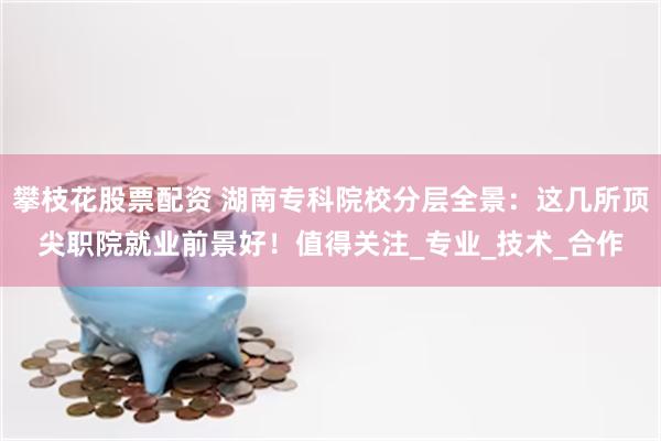 攀枝花股票配资 湖南专科院校分层全景：这几所顶尖职院就业前景好！值得关注_专业_技术_合作
