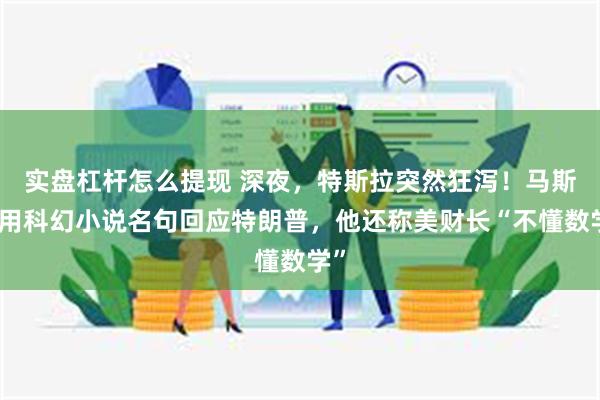 实盘杠杆怎么提现 深夜，特斯拉突然狂泻！马斯克用科幻小说名句回应特朗普，他还称美财长“不懂数学”