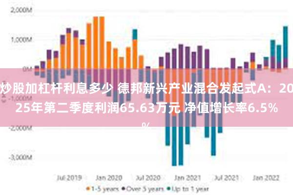 炒股加杠杆利息多少 德邦新兴产业混合发起式A：2025年第二季度利润65.63万元 净值增长率6.5%