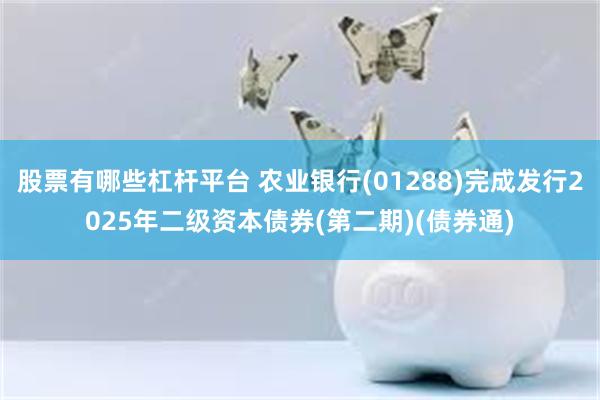 股票有哪些杠杆平台 农业银行(01288)完成发行2025年二级资本债券(第二期)(债券通)
