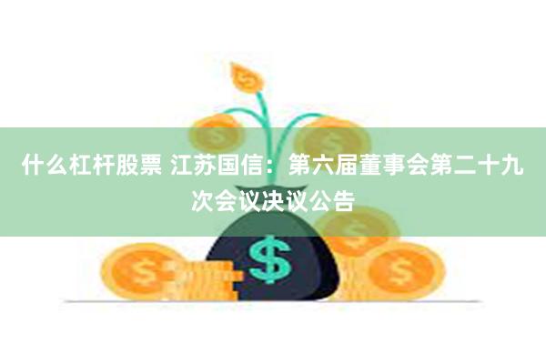 什么杠杆股票 江苏国信：第六届董事会第二十九次会议决议公告