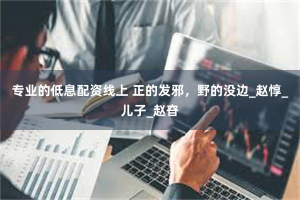 专业的低息配资线上 正的发邪，野的没边_赵惇_儿子_赵昚