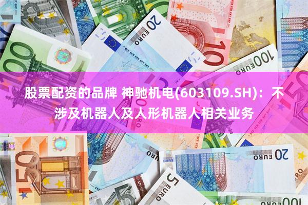 股票配资的品牌 神驰机电(603109.SH)：不涉及机器人及人形机器人相关业务